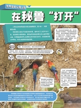 小哥白尼·野生动物画报2022年10月第10期