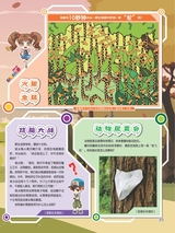 小哥白尼·野生动物画报2022年10月第10期