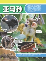 小哥白尼·野生动物画报2022年10月第10期