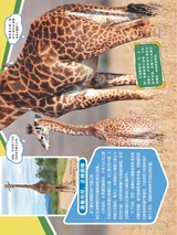 小哥白尼·野生动物画报2022年10月第10期