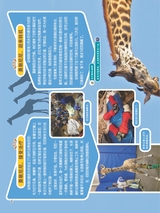 小哥白尼·野生动物画报2022年10月第10期