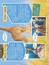 小哥白尼·野生动物画报2022年10月第10期