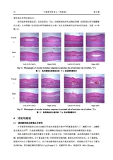 中国药剂学杂志2025年4月第2期