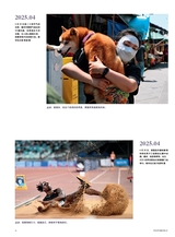 摄影世界2025年6月第6期