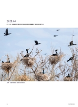 摄影世界2025年6月第6期