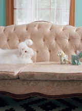 摄影世界2025年6月第6期