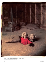 摄影世界2025年6月第6期