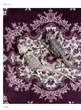 摄影世界2025年6月第6期