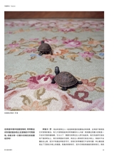 摄影世界2025年6月第6期