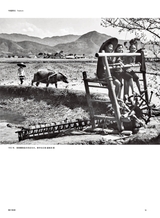 摄影世界2025年5月第5期