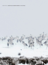 摄影世界2025年5月第5期