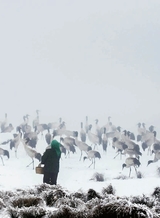 摄影世界2025年5月第5期