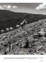 摄影世界2025年5月第5期