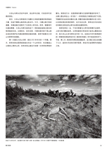 摄影世界2025年5月第5期