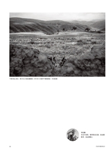 摄影世界2025年5月第5期