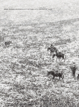 摄影世界2025年5月第5期