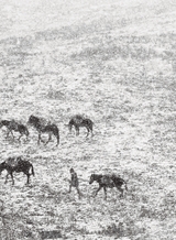 摄影世界2025年5月第5期