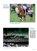 摄影世界2025年10月第10期