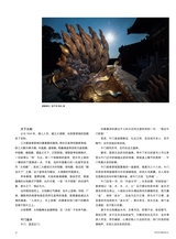 摄影世界2025年10月第10期