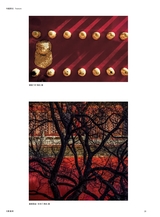 摄影世界2025年10月第10期