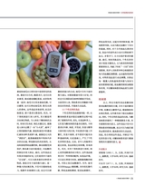 食品界 2025年4月第4期