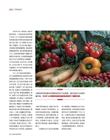 食品界 2025年3月第3期