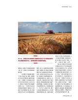 食品界 2025年3月第3期