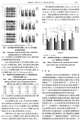 口腔医学2025年5月第5期