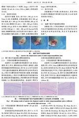 口腔医学2025年5月第5期