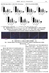 口腔医学2025年5月第5期