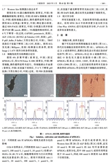 口腔医学2025年5月第5期