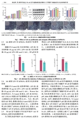 口腔医学2025年5月第5期