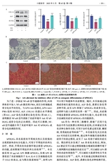 口腔医学2025年5月第5期