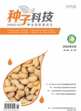 种子科技2025年6月第11期