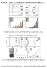 材料科学与工程学报2025年10月第5期