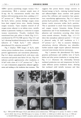 材料科学与工程学报2025年10月第5期