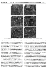 材料科学与工程学报2025年10月第5期