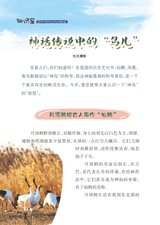 雪豆月读（低年级）2025年10月第10期