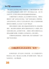 雪豆月读（低年级）2025年10月第10期