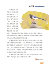 雪豆月读（低年级）2025年10月第10期