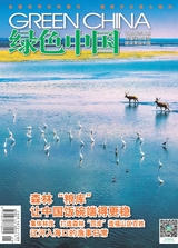 绿色中国