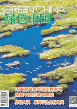 绿色中国