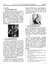 鞋类工艺与设计2025年6月第12期