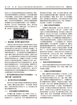 鞋类工艺与设计2025年6月第11期