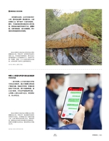 设计2025年1月第1期