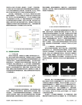 设计2025年6月第6期