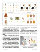 设计2025年6月第6期