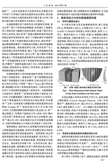 人民黄河2025年7月第7期