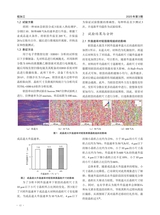 铝加工2025年6月第3期