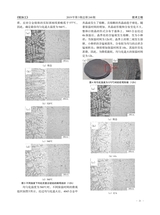 铝加工2019年6月第3期